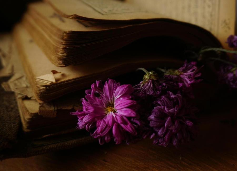 Pekelná vášeň i sarkasmus: originální romantasy, kterému nelze odolat